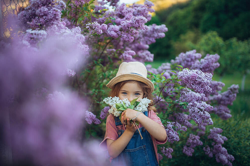 Little girl with lilac