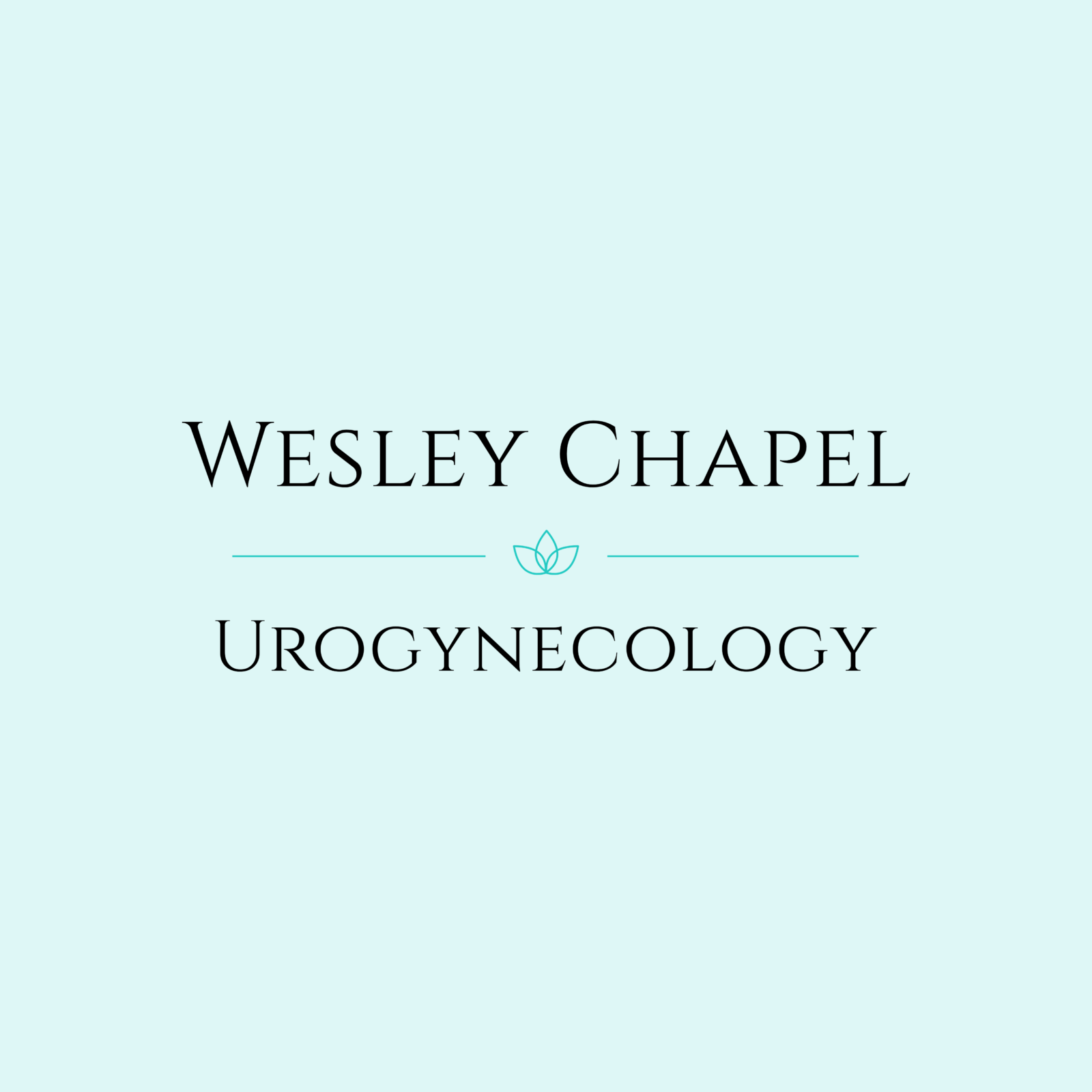 Logo - Wesley Chapel Urogynecology