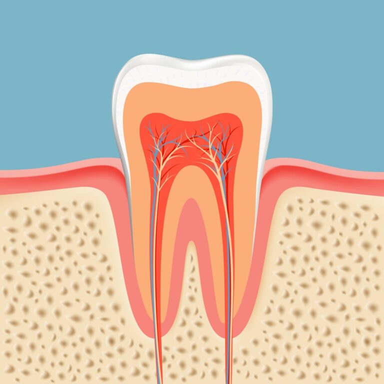 human tooth in a cut