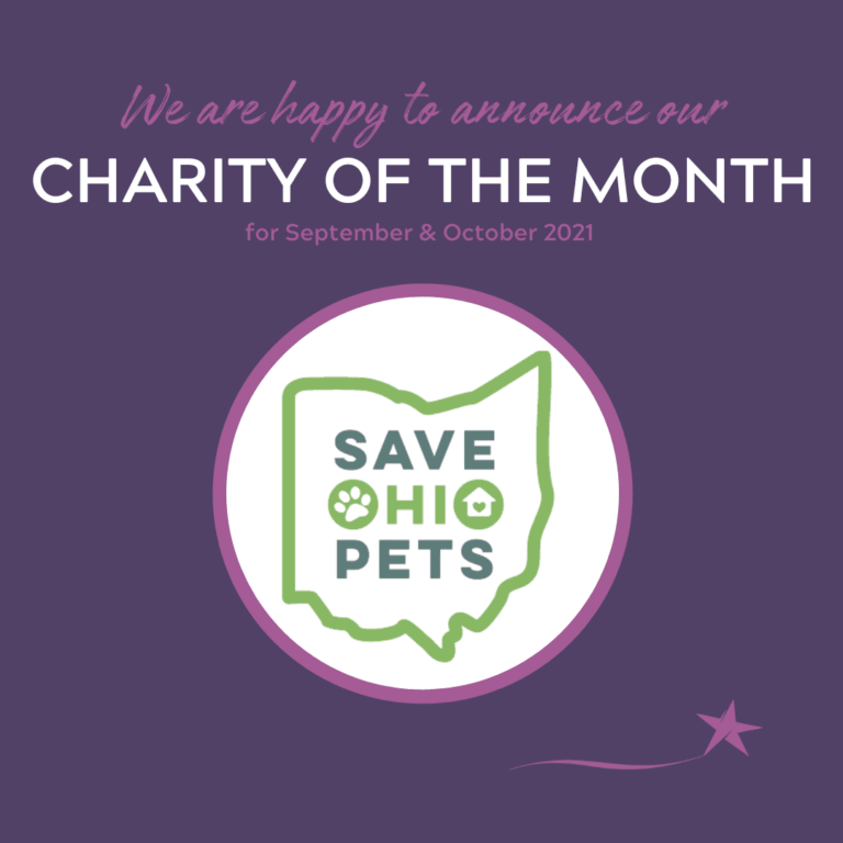 Charity of the Month Sept & Oct 2021 Banner - Northstar Family Dental