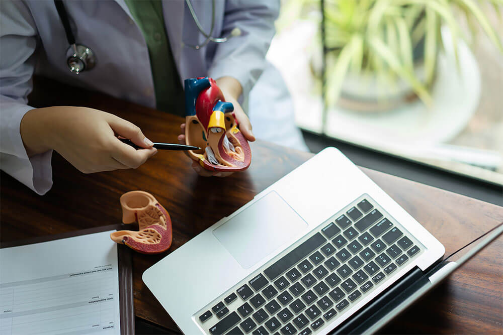 Female cardiologist doctor explaining heart anatomy model