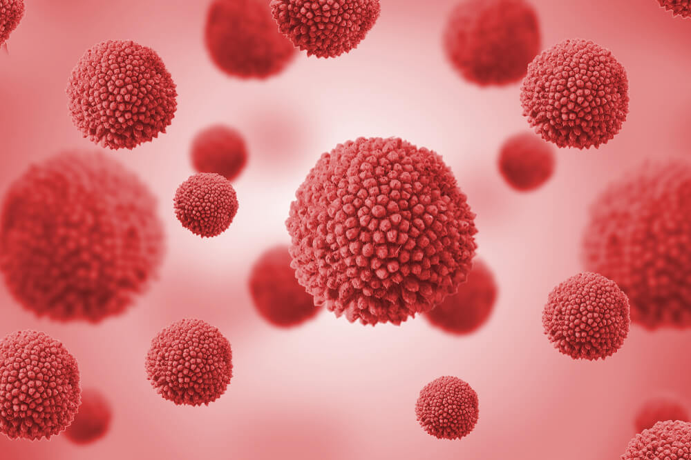 Viruses and pathogens replication and infection in a viral epidemic