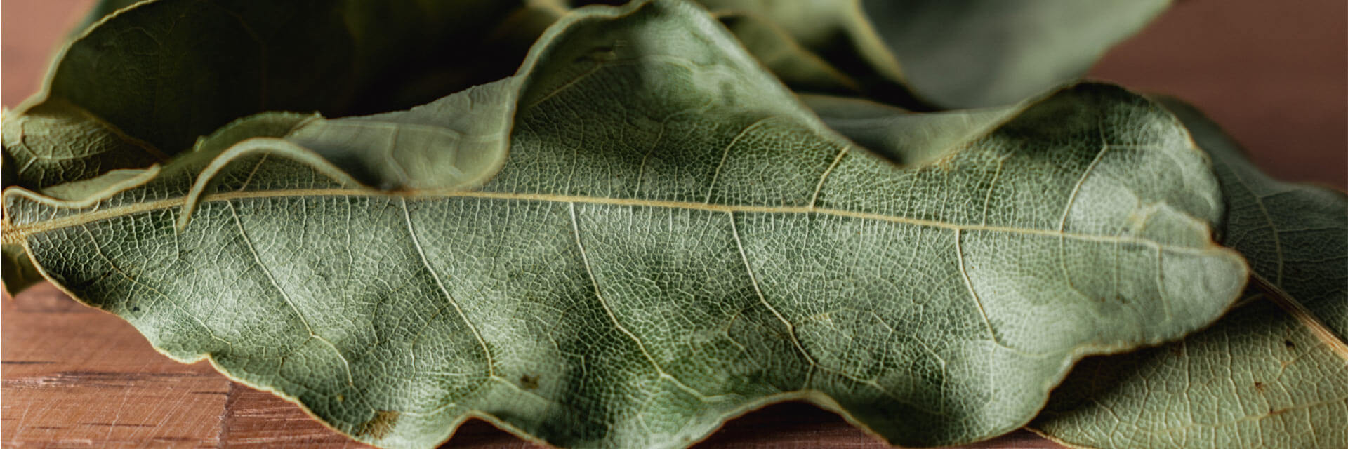 Bay leaves for multiple use