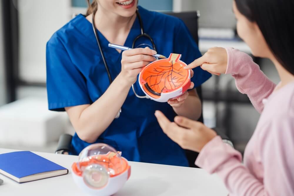 Female ophthalmologist explains about eye diseases using the eye model