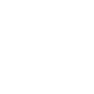 Monitor icon