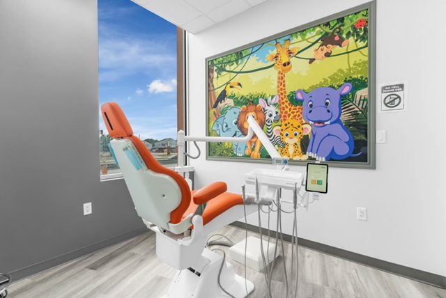 Safari dental interior treatment room