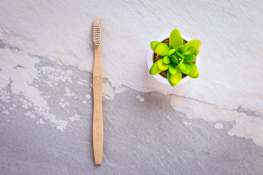 bamboo toothbrush