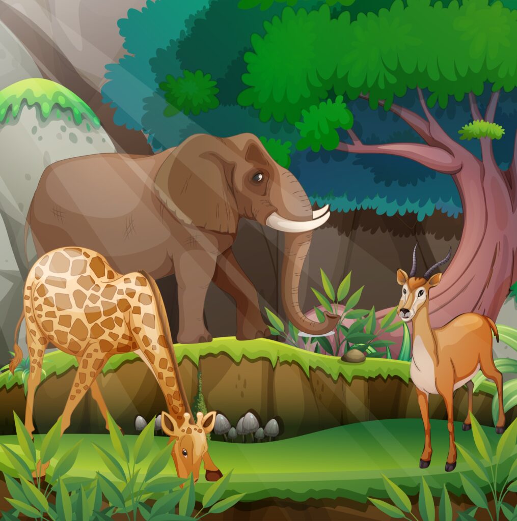 Illustration of animals in the jungle