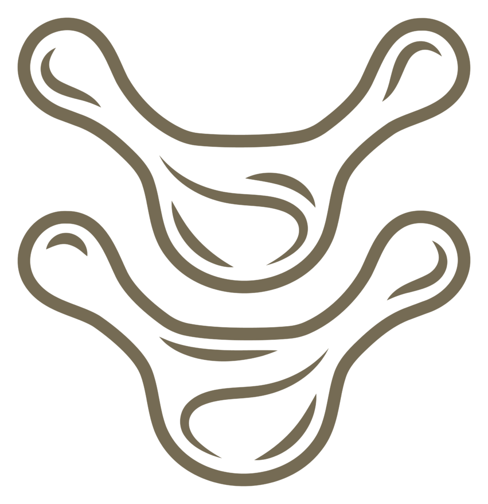 Site favicon - Alleviate Pain and Spine