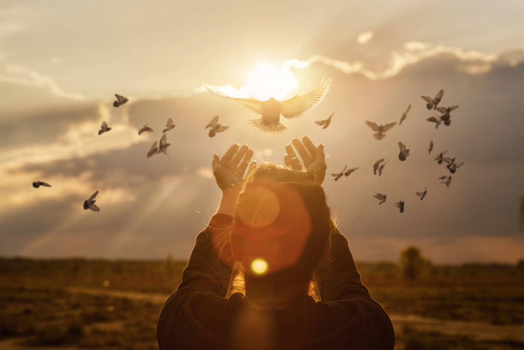 Doves fly into the woman hands against a sunny sunset