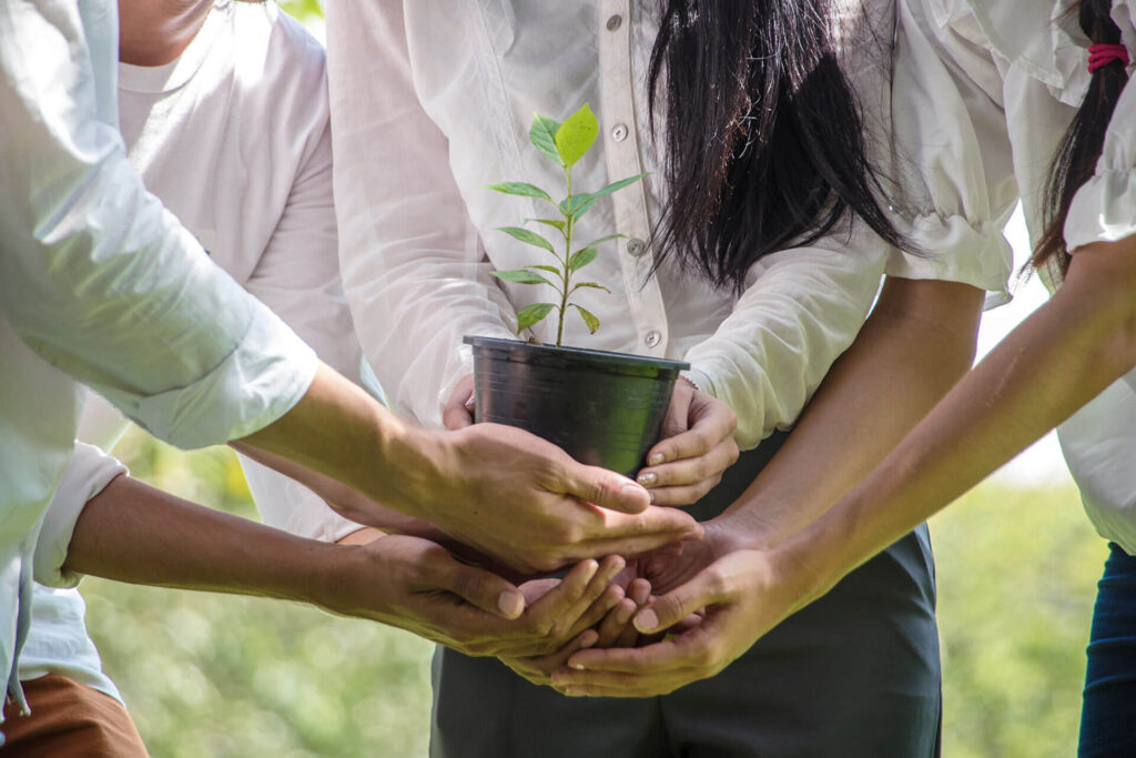 Group of People Hands Holding Cupping Plant