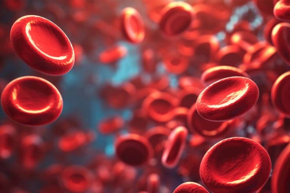 Red blood science 3d illustration