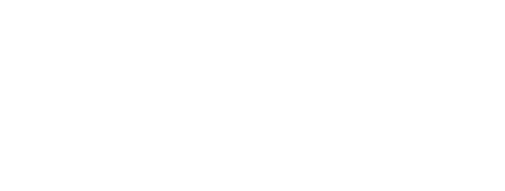 Logo White - DocDM