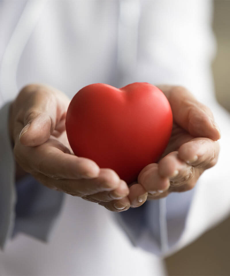 Hands of doctor holding red heart