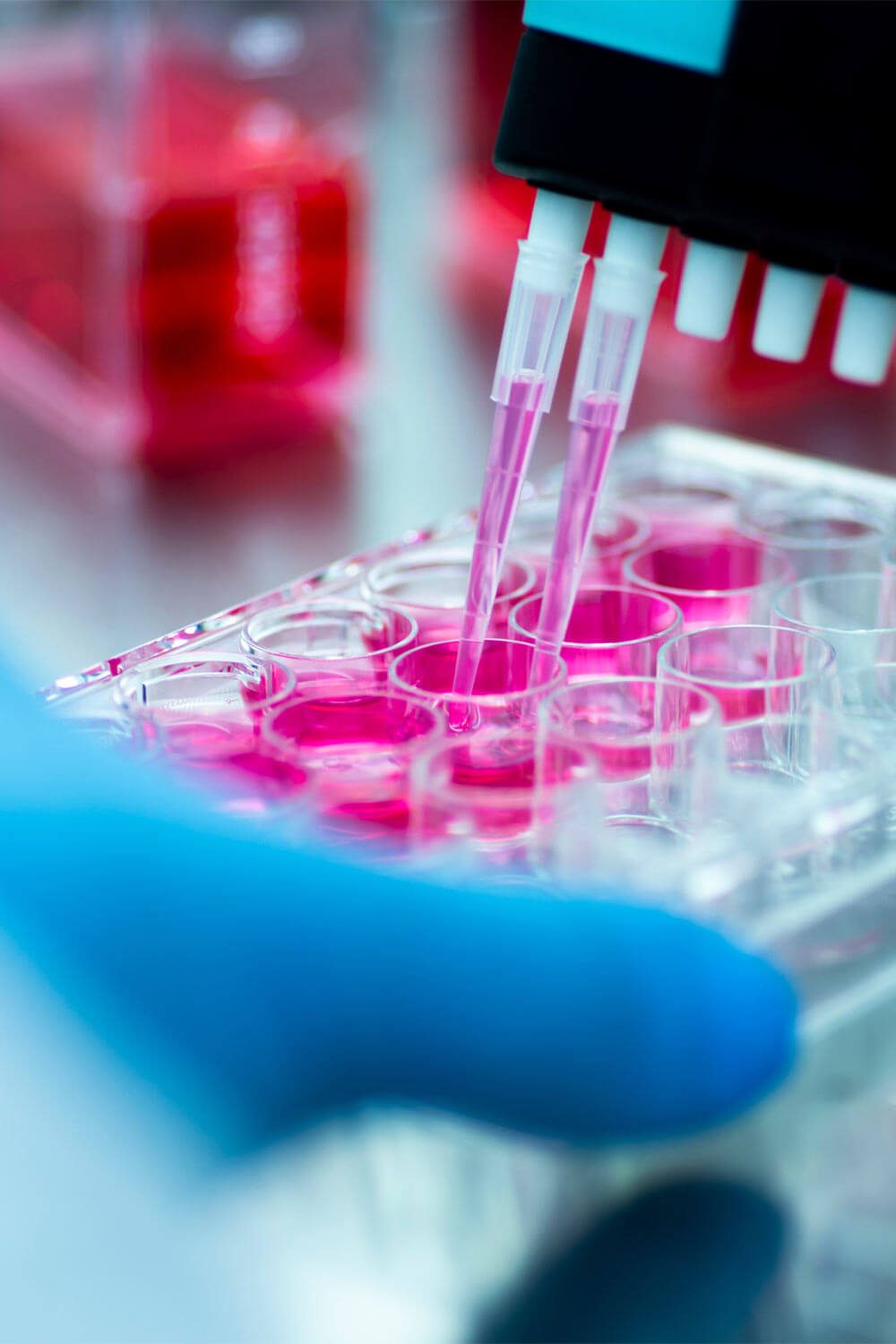 Researcher working with samples of tissue culture in microplate