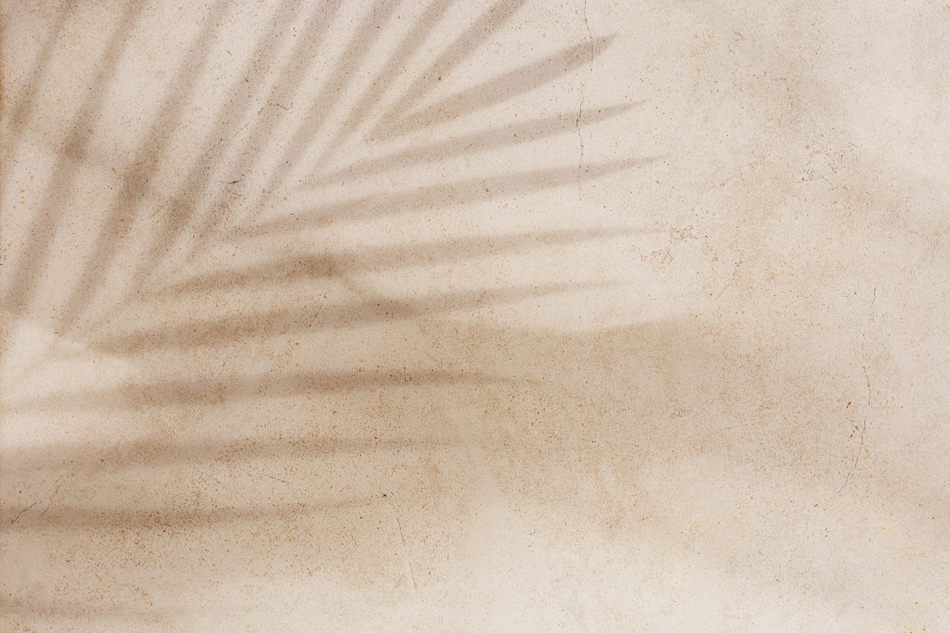 Sandy Palm Leaves Texture