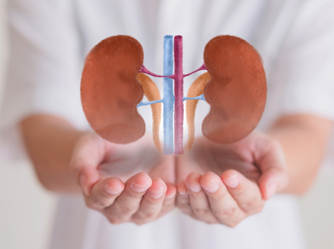 NANI-Vascular-Access