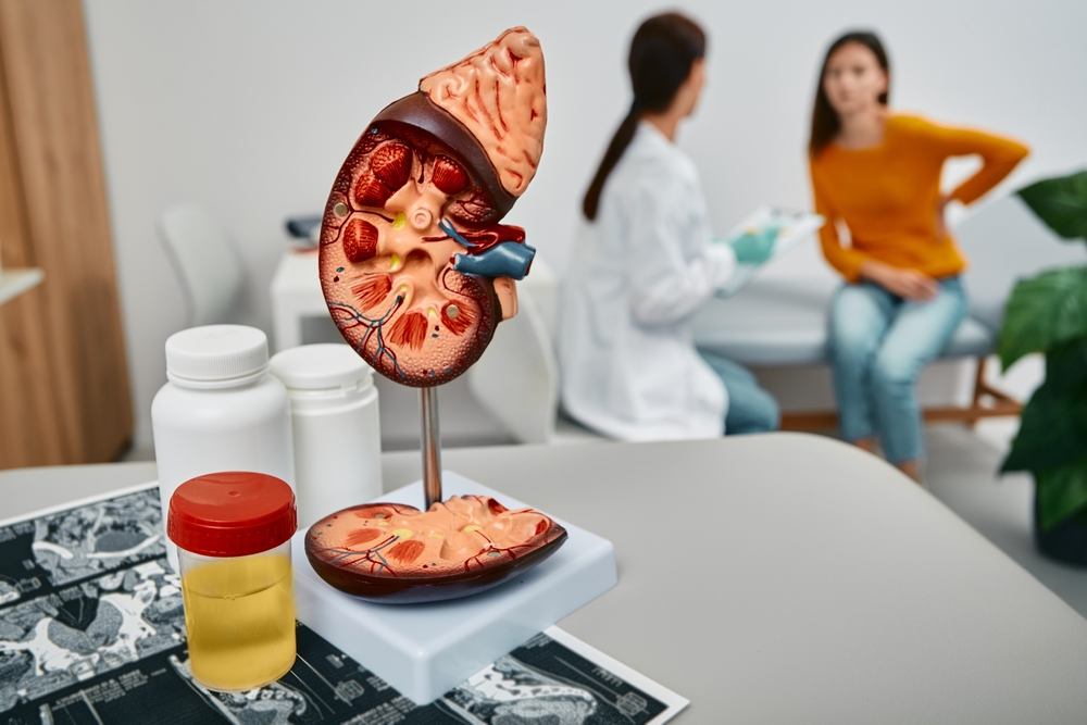 Treatment of kidney diseases at urology