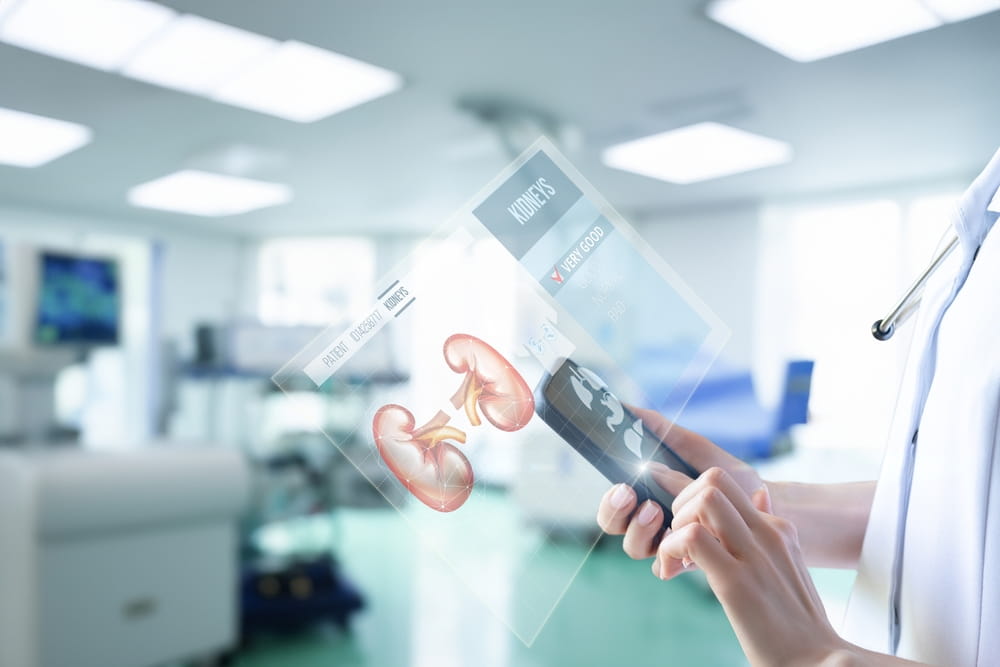 Advanced kidney care. A medical pro examines kidney images in a hospital, prioritizing patient care.