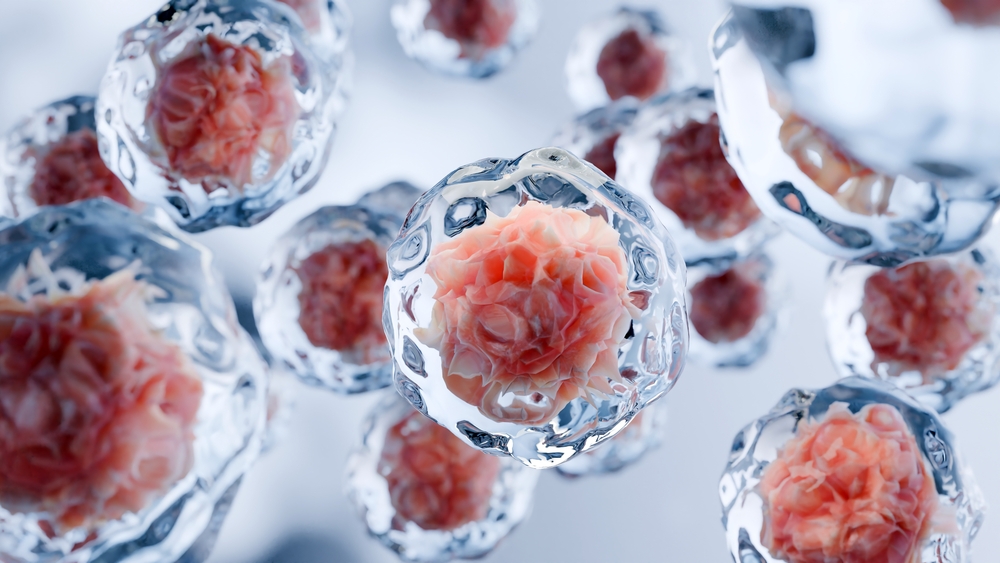 Human,Cells,Floating,,Embryonic,Stem,Cell,,Cellular,Therapy,And,Regeneration,