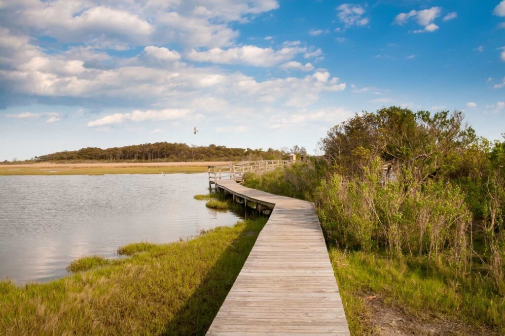 Boardwalk through coastal marsh to an island of trees