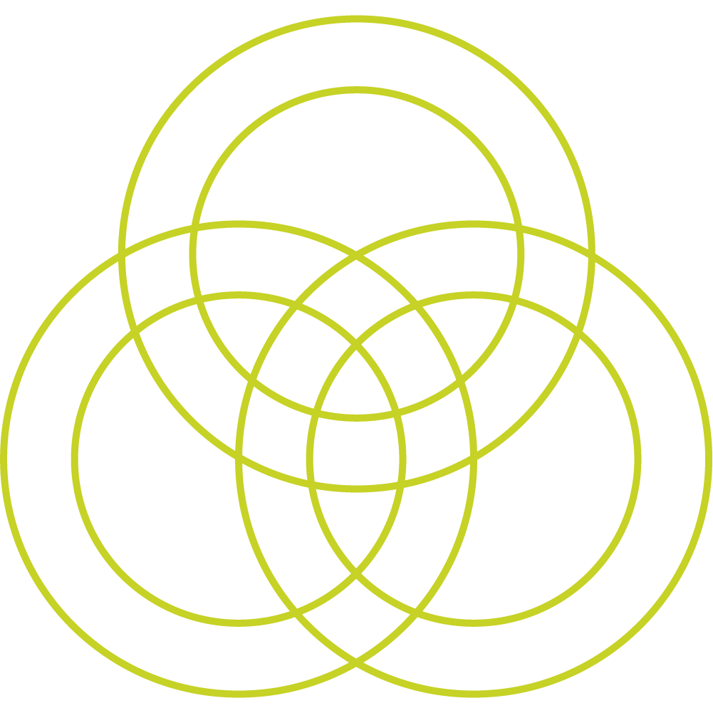 Venn diagram with three intersecting circles