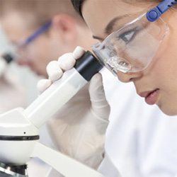 Laboratory Services