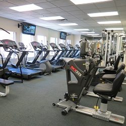 Physical Therapy