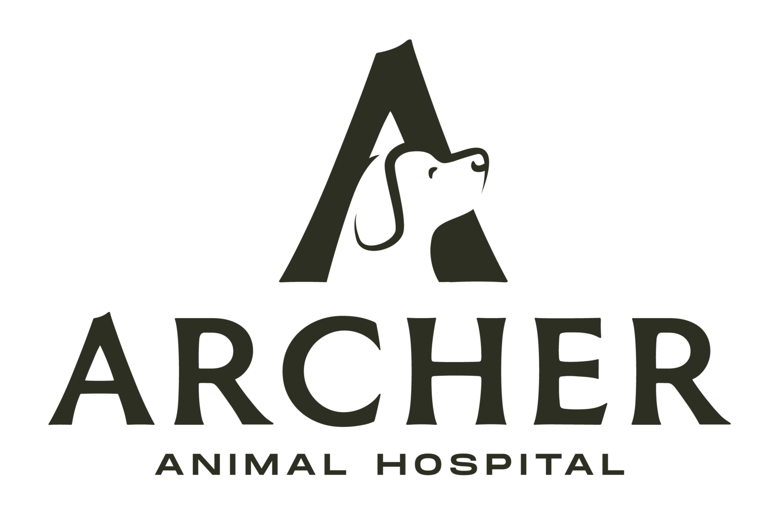 Archer-Animal-Hospital_Olive