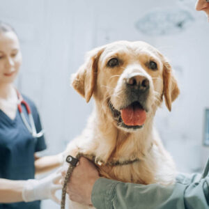 Laboratory Services