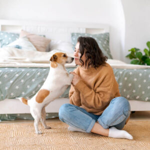 Personalized Veterinary Care