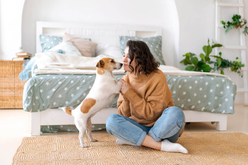 Personalized Veterinary Care