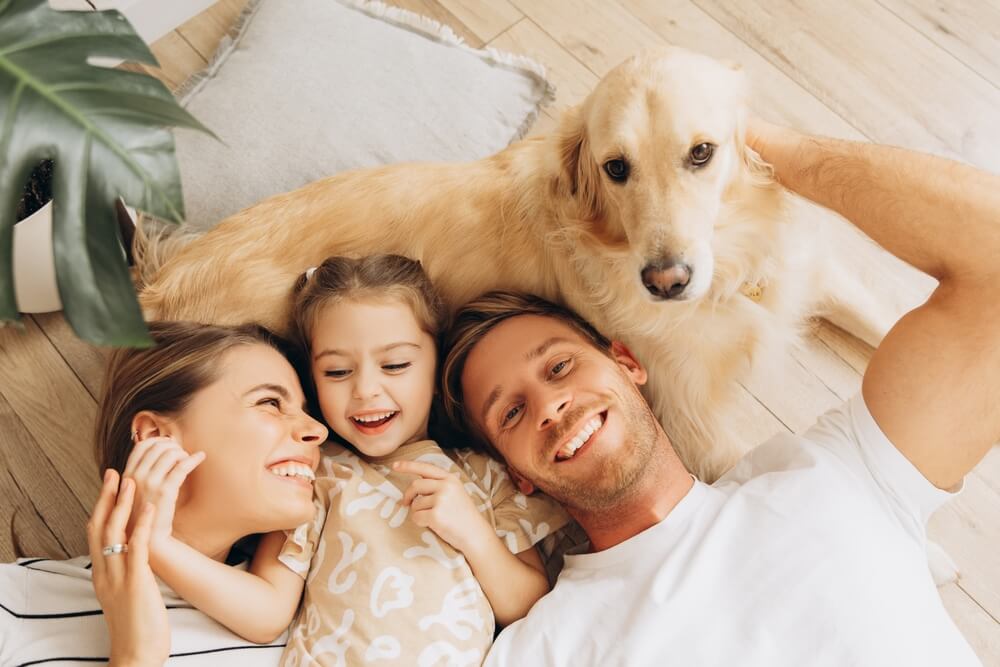 Pet Owner Education