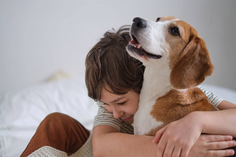 Preventative Veterinary Care