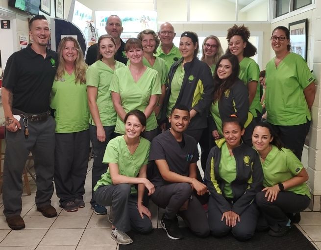 Archer-Animal-Hospital Team