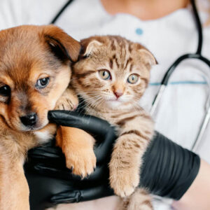 Vaccinations
