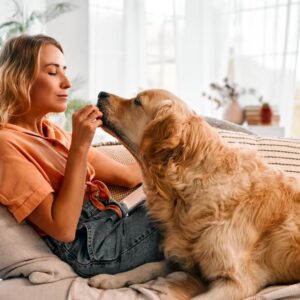 Veterinary Dental Care