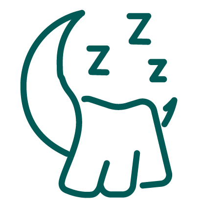 Sleep - Icon