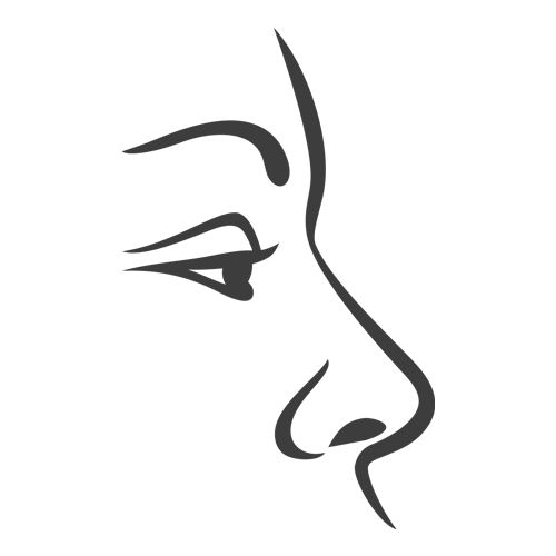 Reconstruction icon
