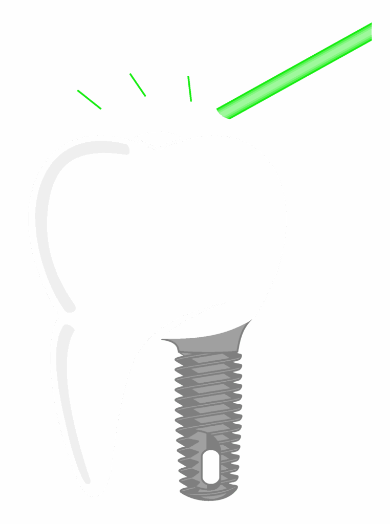 CFOH Tooth Only - Transparent Background