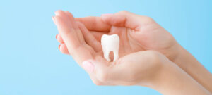 Woman hands holding white tooth isolated on pastel blue background