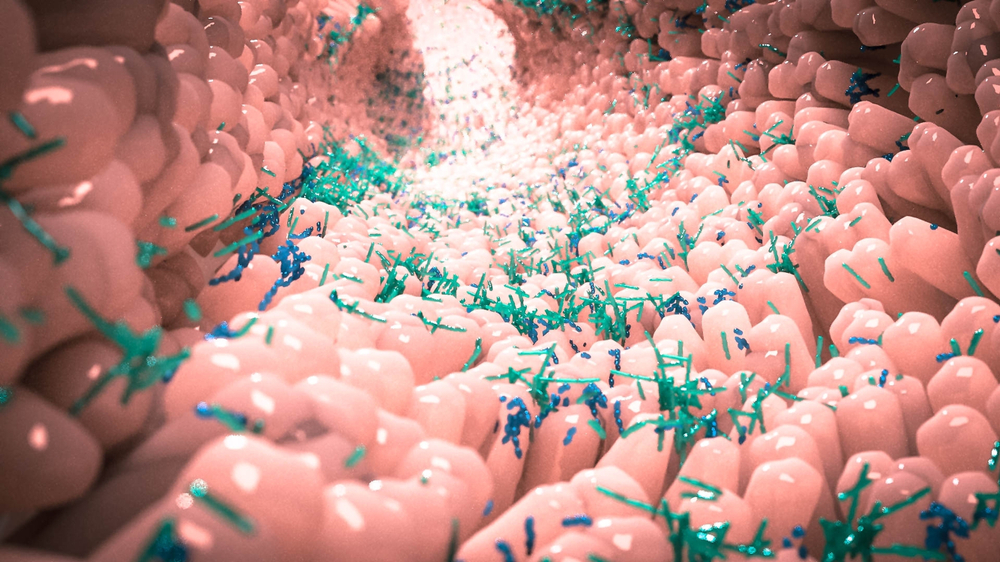 Microbiome in human gut