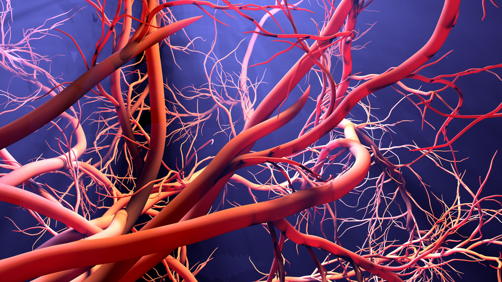 New blood vessel formation, 3d illustration