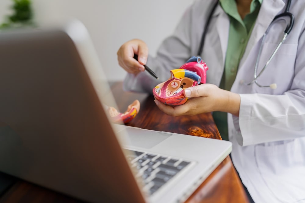 Cardiology Consultation treatment of heart disease. Doctor cardiologist while consultation showing anatomical model on laptop online consultation.