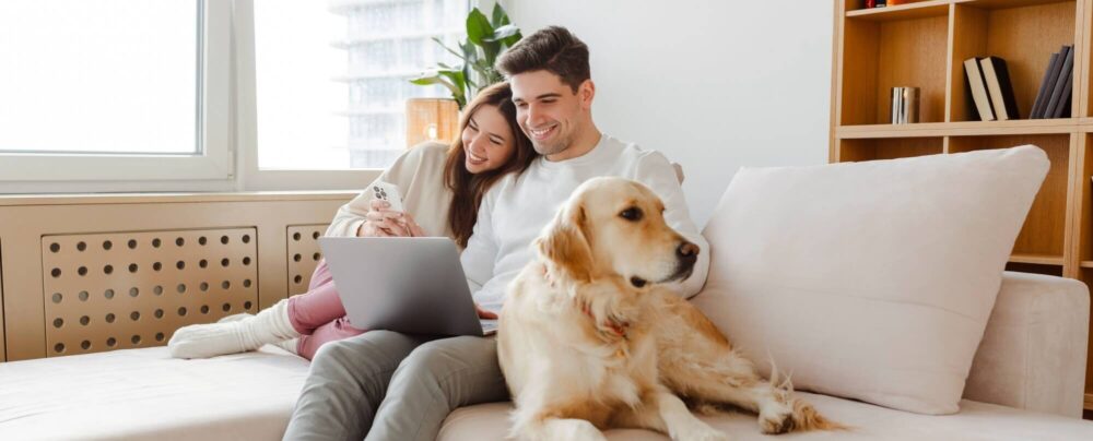 young couple using laptop, man holding mobile phone, hugging dog, sitting together on comfortable sofa