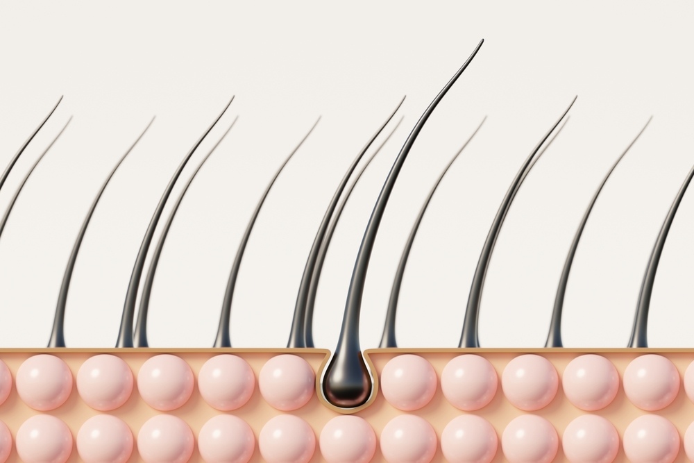 Hair Follicle Testing