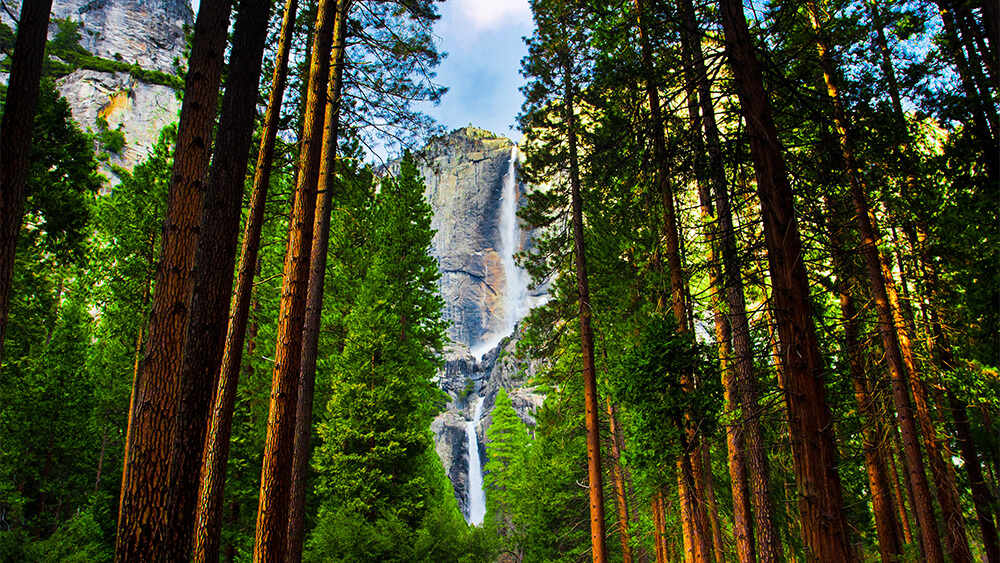 Yosemite Falls within Yosemite National Park, California