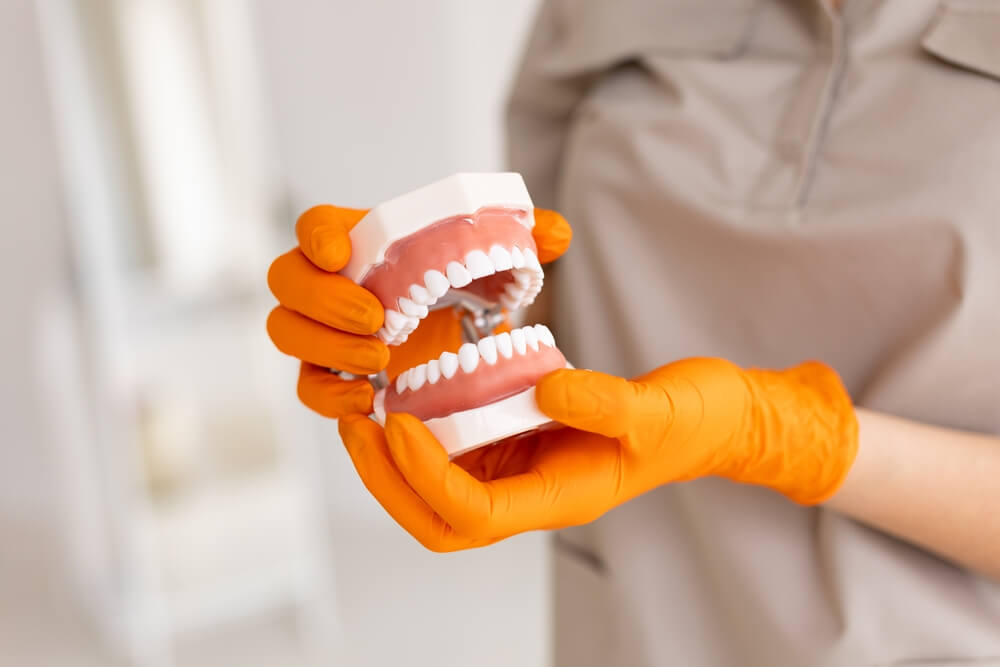 Dentist holding dentures in hands