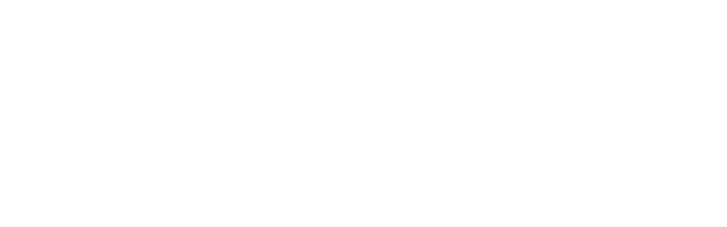 Anthem logo white