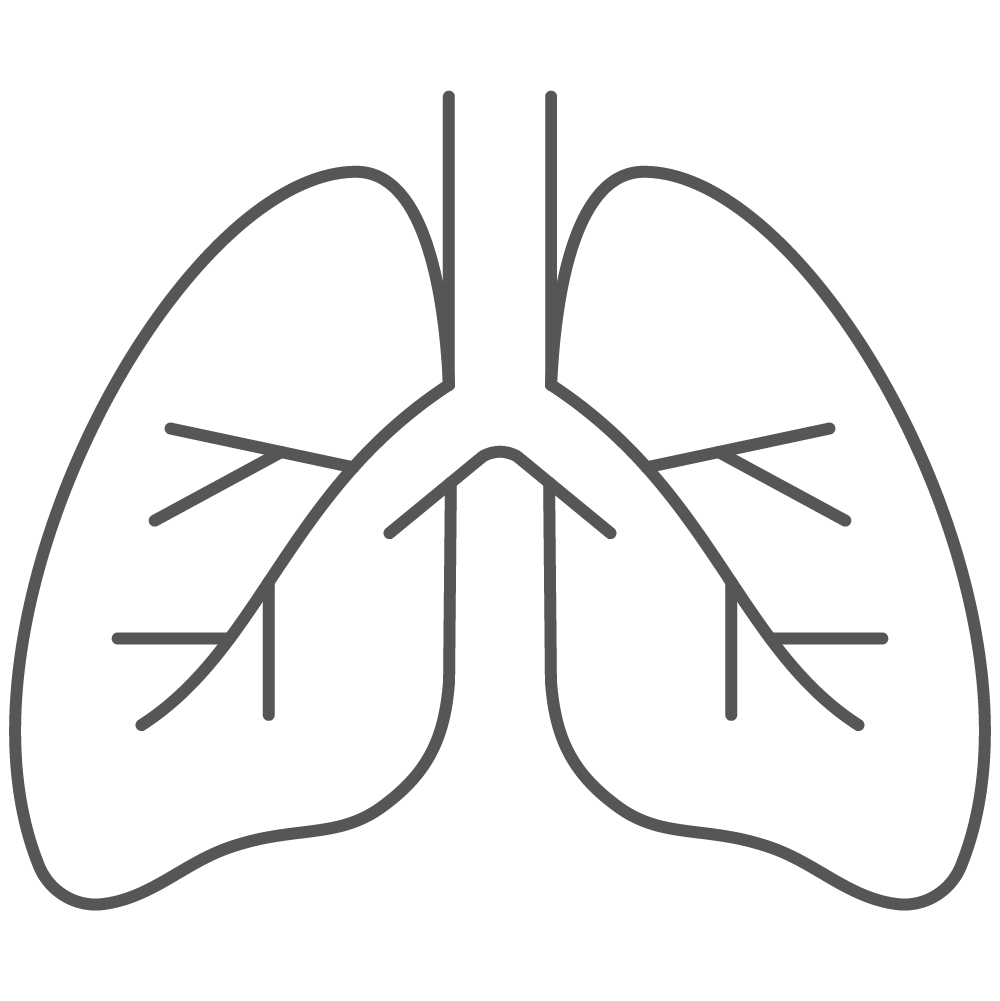 Pulmonary Care icon